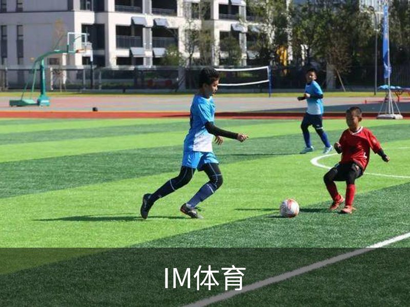 IM体育概况